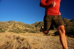 Fitness Evaluations